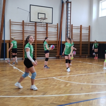 Volejbalový turnaj žákyň ZŠ a víceletých gymnázií - VÝSLEDKY - foto č. 3