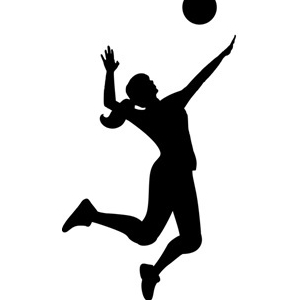 Volejbalový turnaj žákyň ZŠ a víceletých gymnázií - okresní kolo žákyň