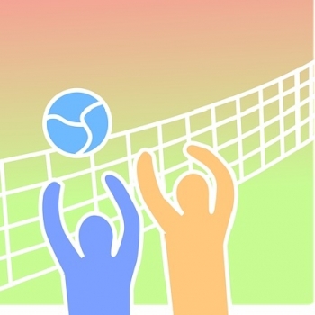 Volejbalový turnaj žáků ZŠ a víceletých gymnázií - VLAŠIM